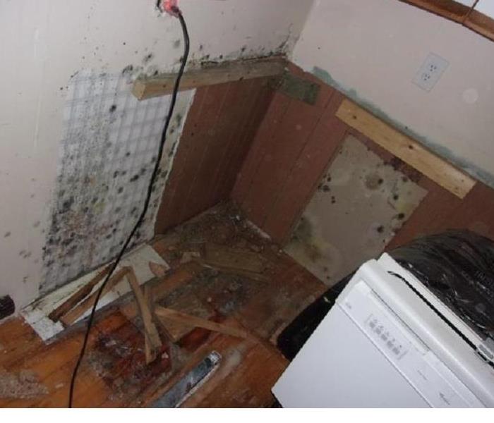 kitchen with mold damage on walls and floor