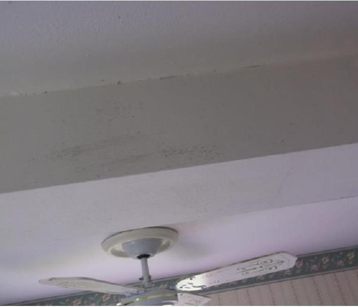 white ceiling with mold spots